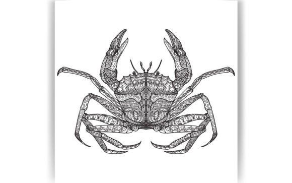 Decorative Crab Coloring Page Book KID Graphics